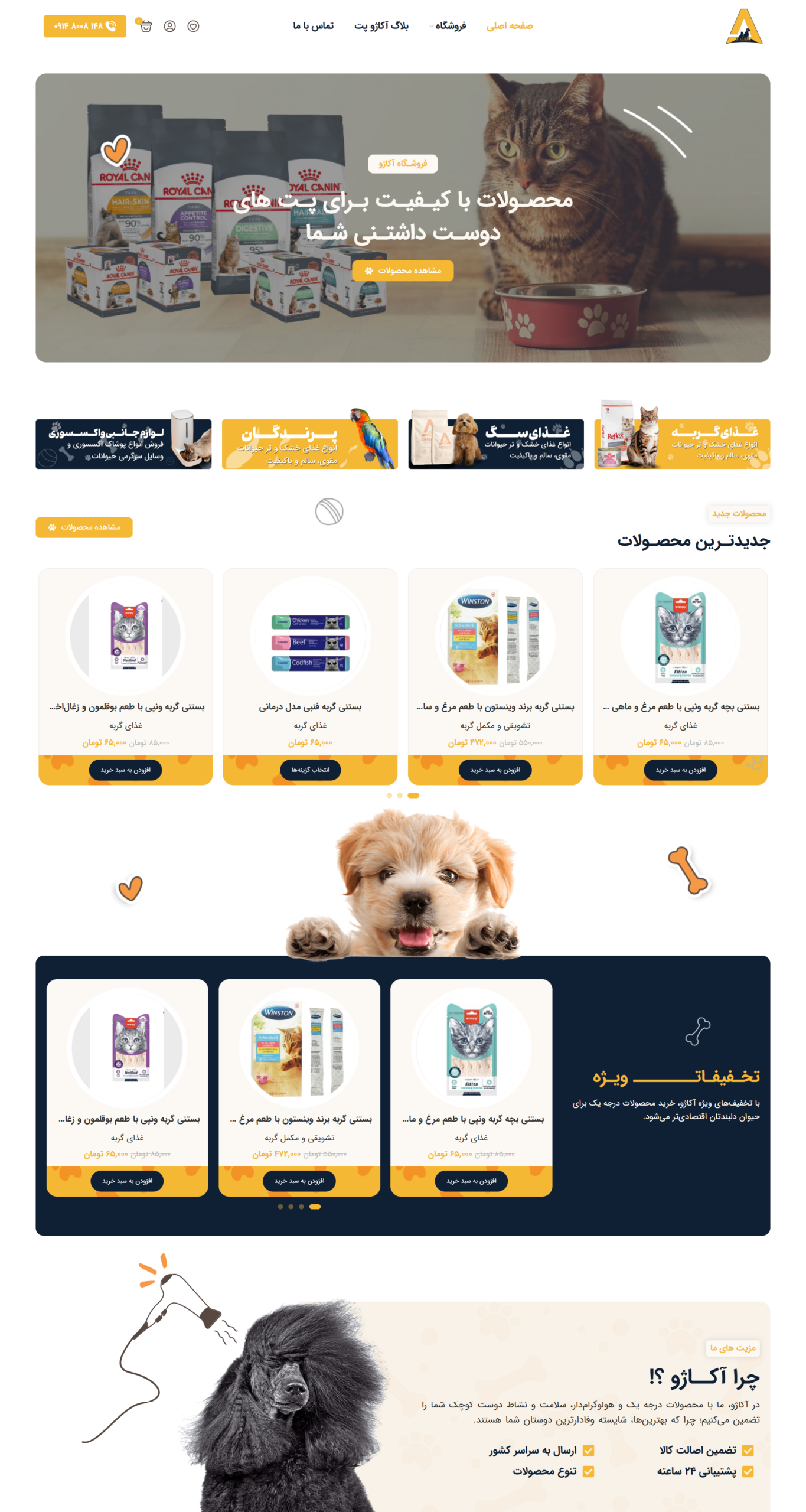 خدمات طراحی سایت